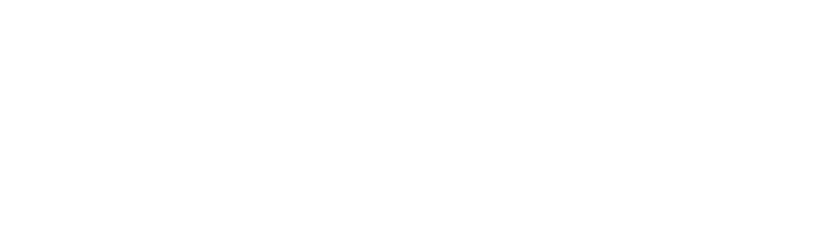 bubunu-white-logo